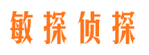 铁锋市私家侦探